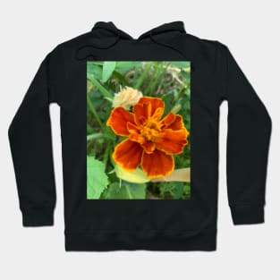 Rusty Orange Marigold Hoodie